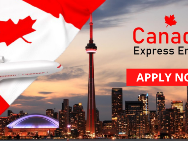 Canadian Express Entry Application Form Guides