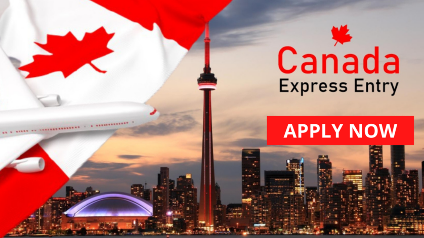 Canadian Express Entry Application Form Guides